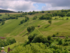 Llanhilleth Farm Colliery incline from across the valley, June 2009